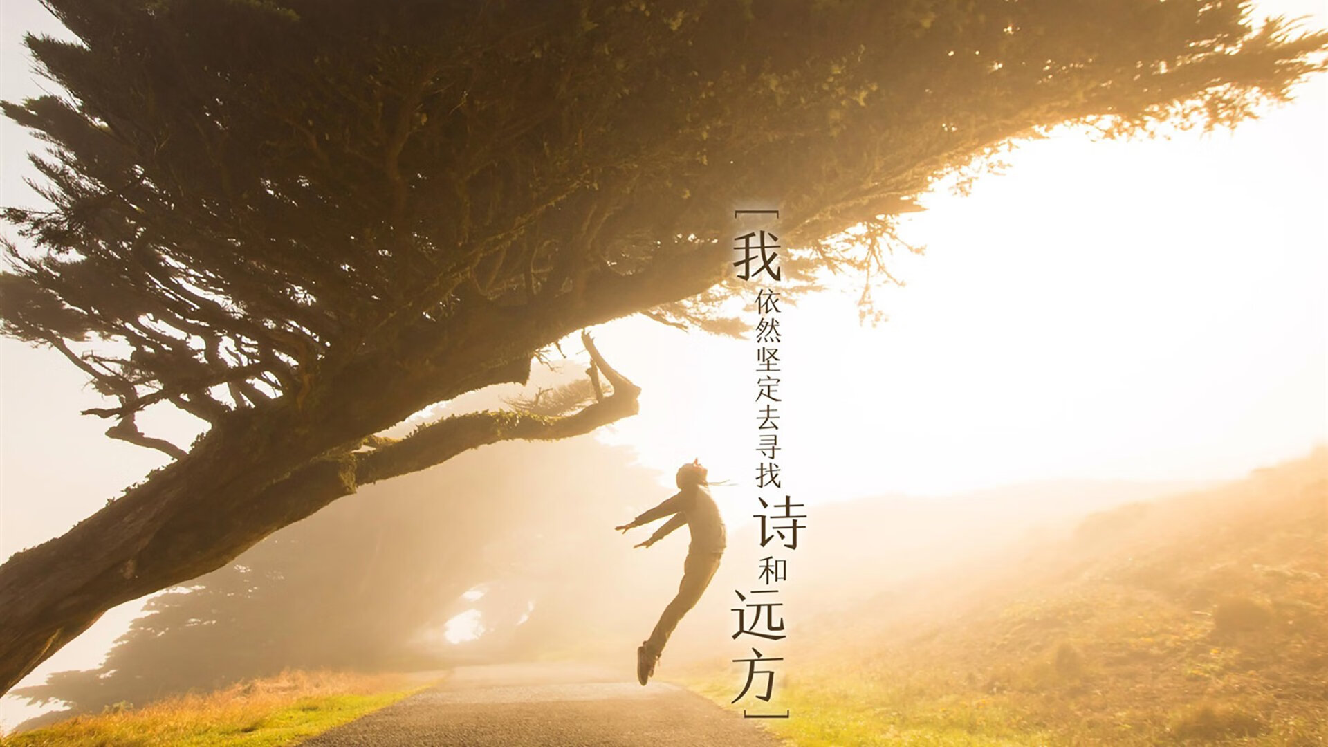 擦掉罚失点球的痕迹，楚阿梅尼的救赎之路