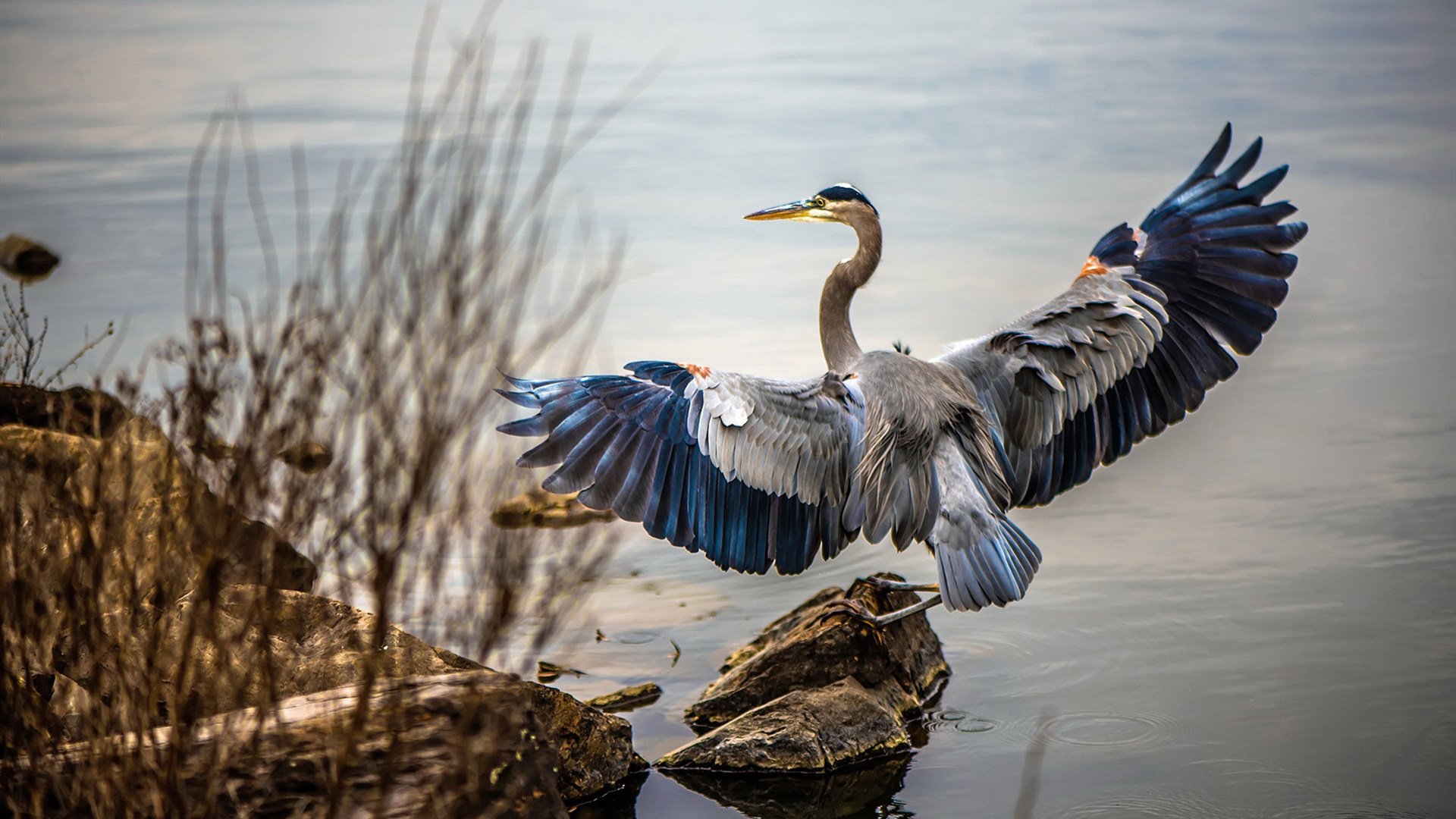 南美意志的碾压,马丁内利如何用一滴雨,刺穿了莱比锡的精密齿轮