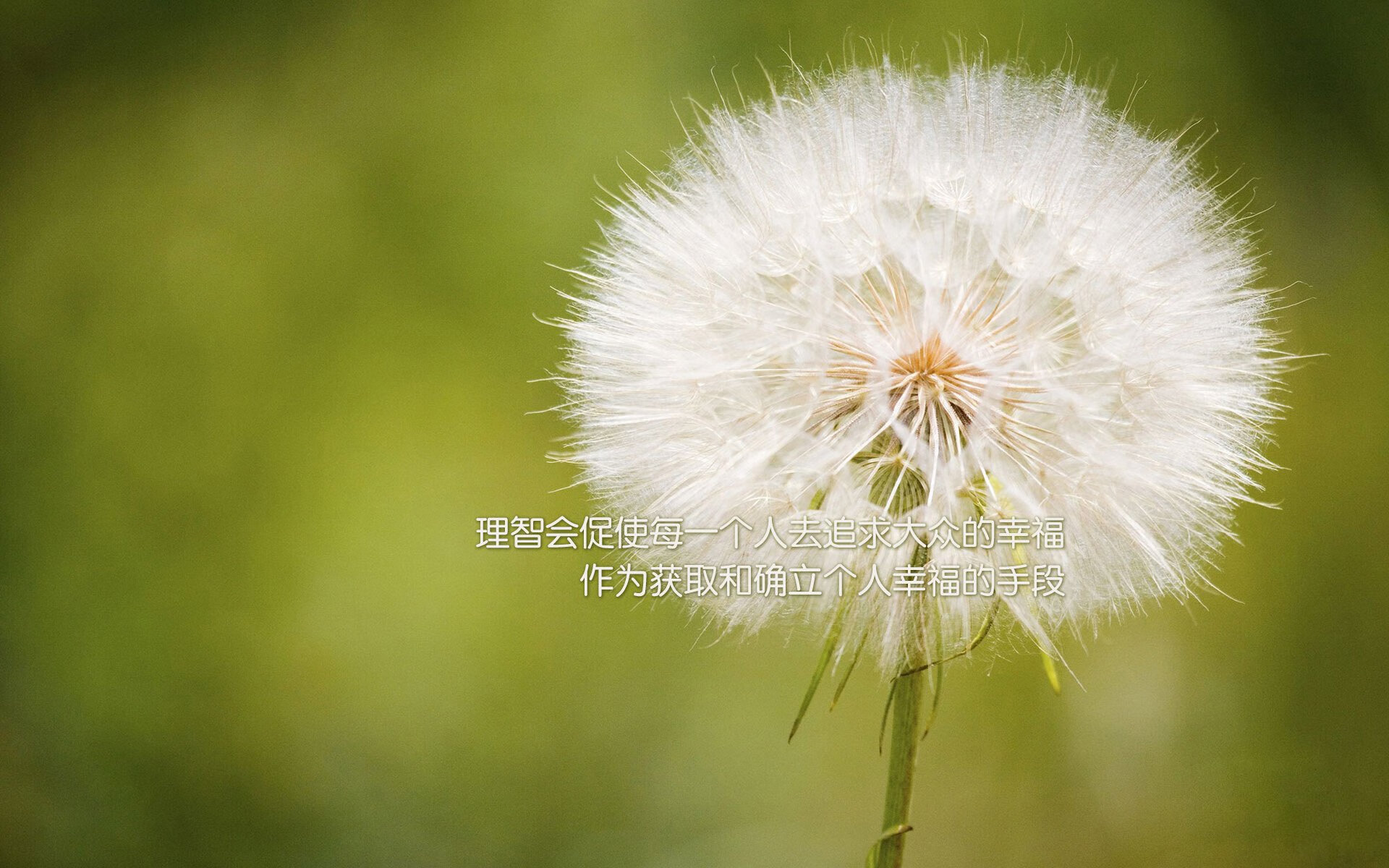 跨界对决，本泽马在国际米兰对阵南非的比赛中攻防两端统治全场