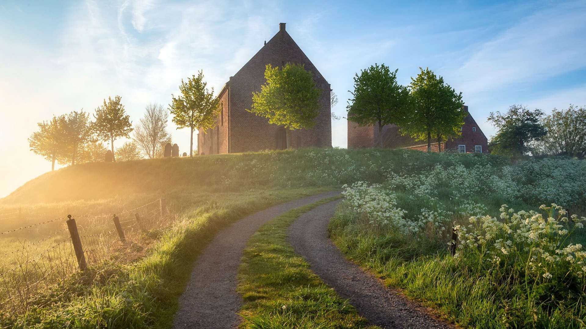 从嘘声到欢呼，卢卡库一脚踢碎质疑，阿尔及利亚上演沙漠之狐式翻盘