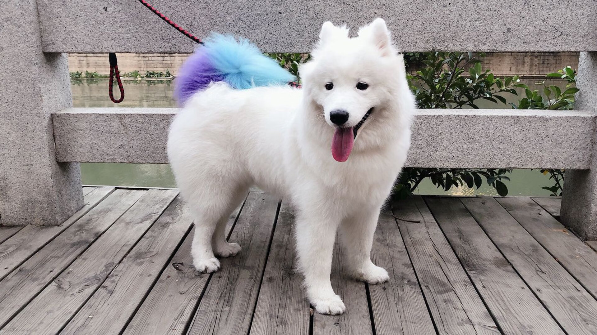 北欧童话的终结与新生,突尼斯轻取丹麦,厄德高在2026世界杯接管比赛