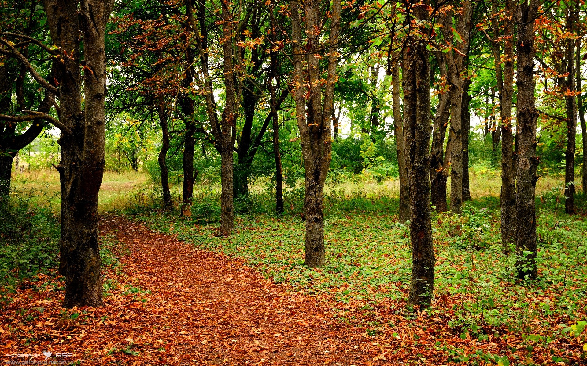 深渊与王座，当新疆绝处逢生遇见班凯罗英超称王