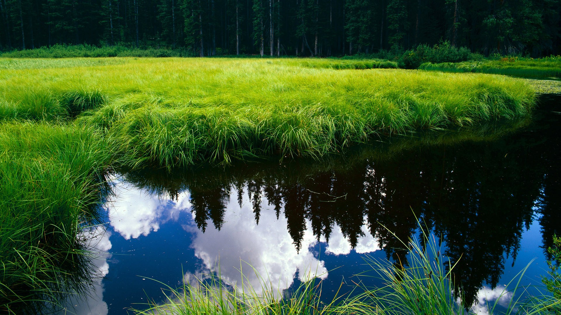 时光折叠处，詹姆斯如何让两个时代在芝加哥的风中相遇