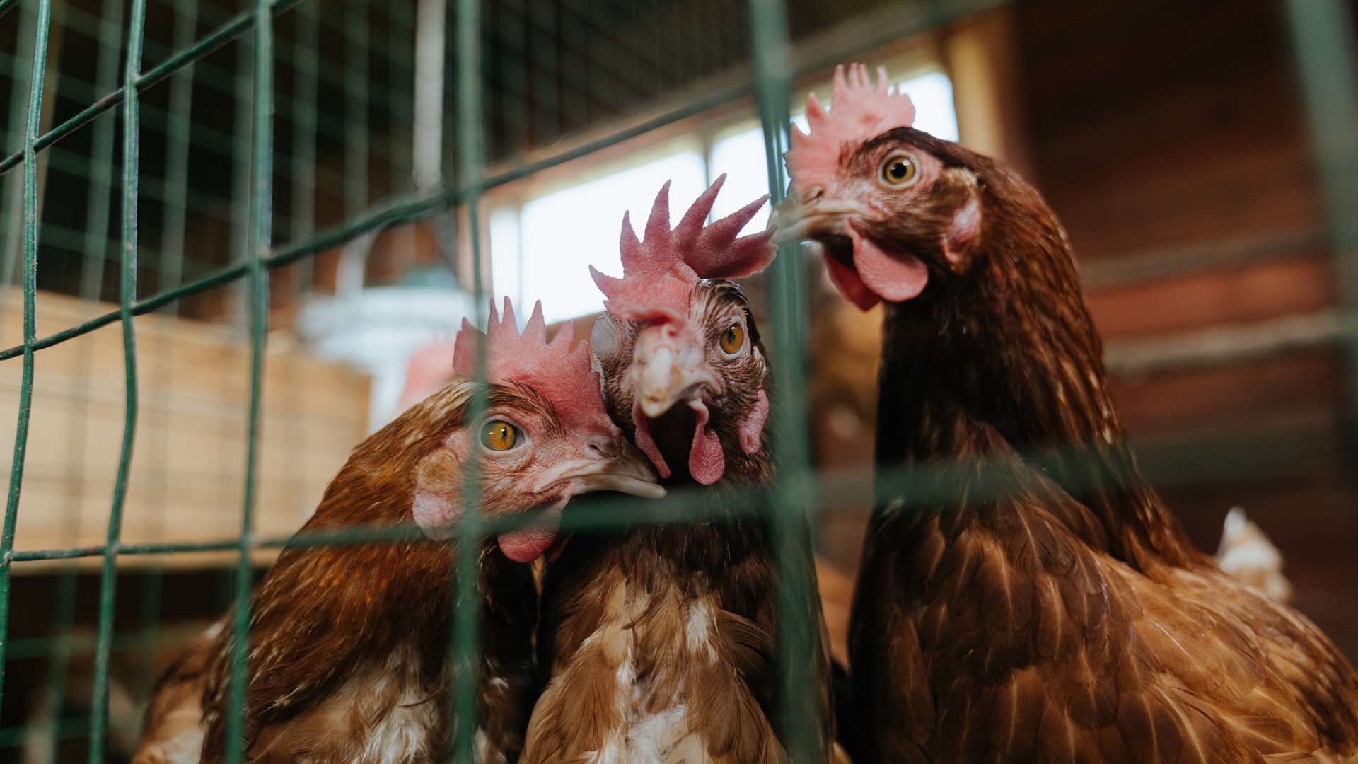 倒影与火焰，欧冠决赛夜，马克西构筑的静止与风暴