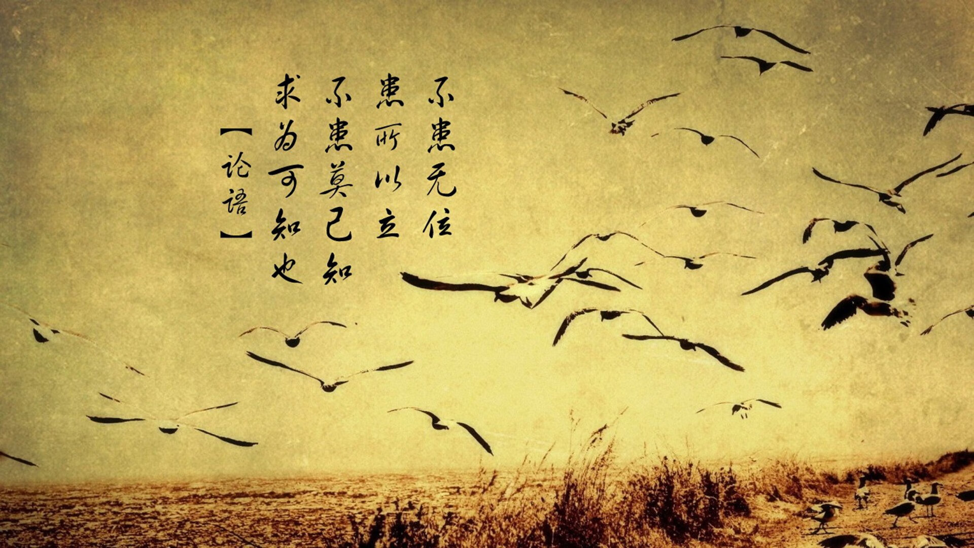 德国之夜，拉齐奥梦魇，奥利维耶以一己之力改写战局