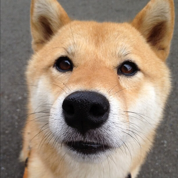 构思