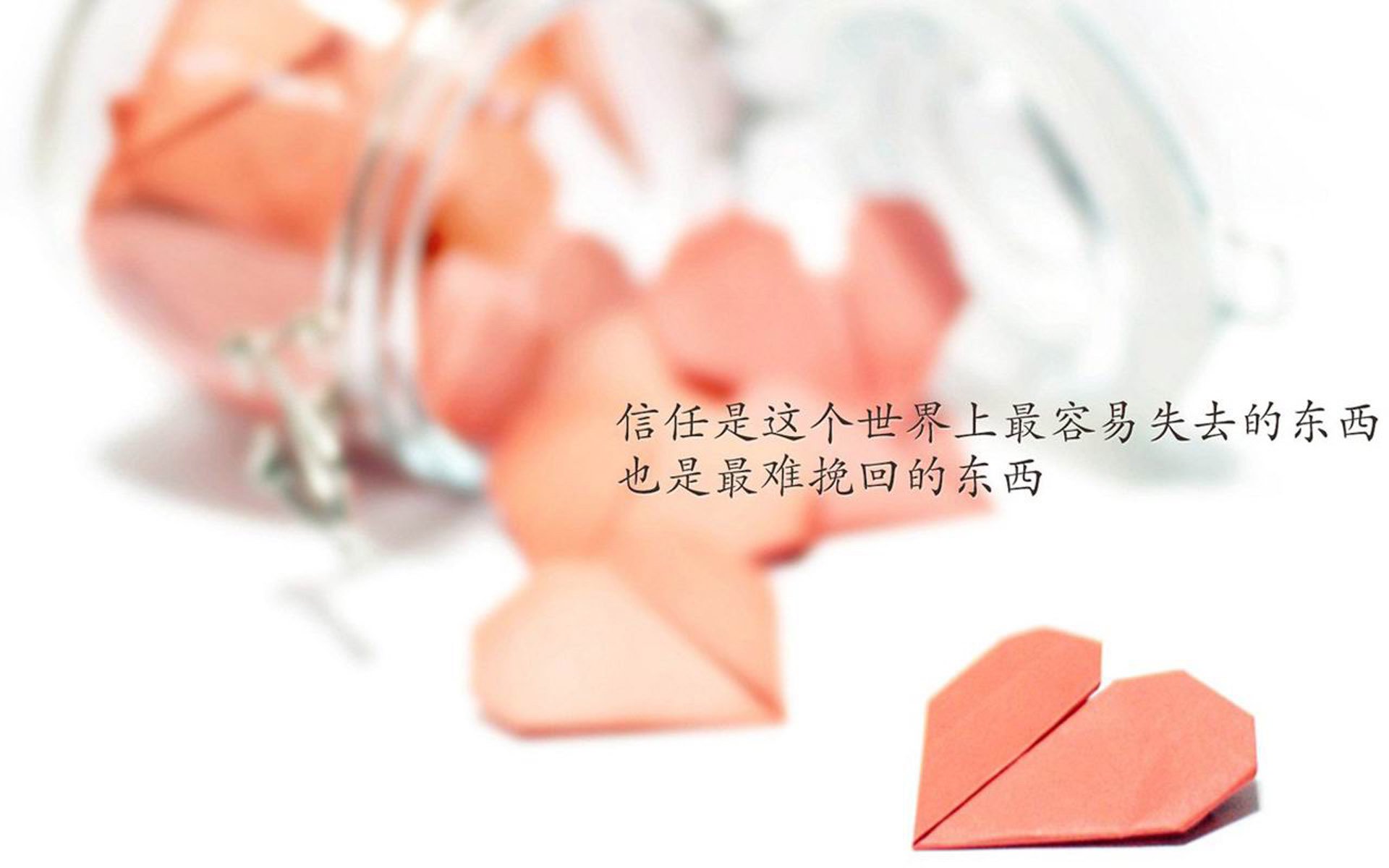 神迹的注脚,当乌兹别克斯坦的钢铁意志撞碎西班牙的黄金罗盘,三笘薰在F组写下令世界失语的性感足球